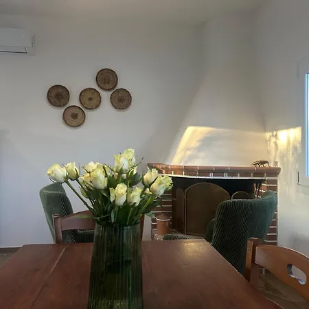 Larucchettina 펜션 알게로