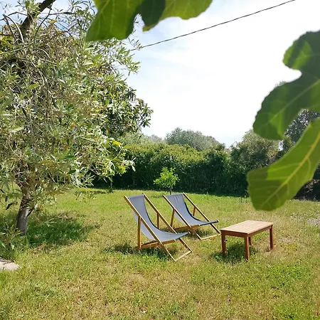 Larucchettina * Alghero